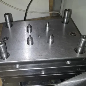 Zoor Paran Mold